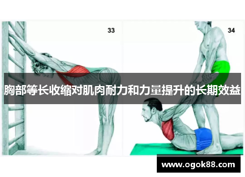 胸部等长收缩对肌肉耐力和力量提升的长期效益